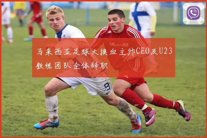 马来西亚足球大换血主帅CEO及U23教练团队全体辞职