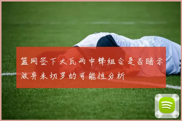 篮网签下大瓦两中锋组合是否暗示放弃米切罗的可能性分析