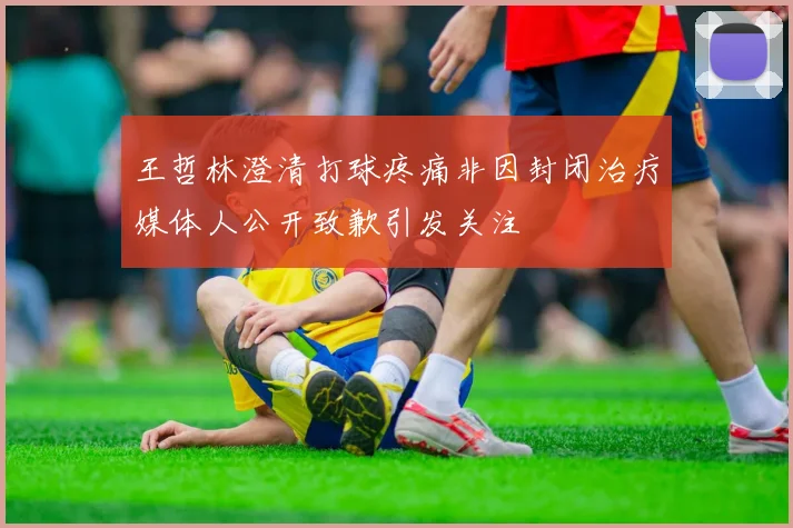 王哲林澄清打球疼痛非因封闭治疗媒体人公开致歉引发关注